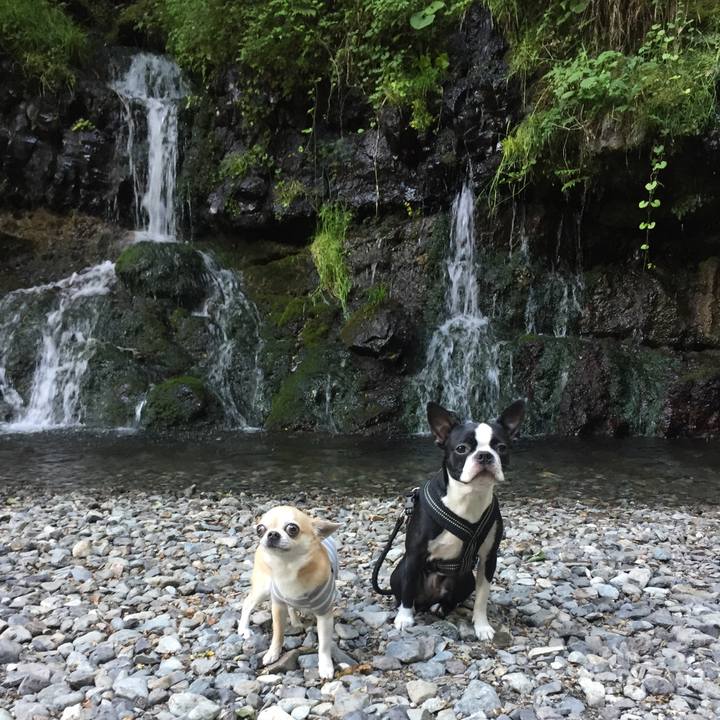 3f34ad74 b57e 426d a642 4786b5a0f76d