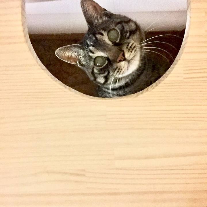 3f35e944 4984 438c 9bf6 4f347c99cfe9