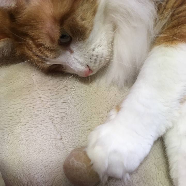 3f362356 ccec 4dd3 989c 6317c2854949