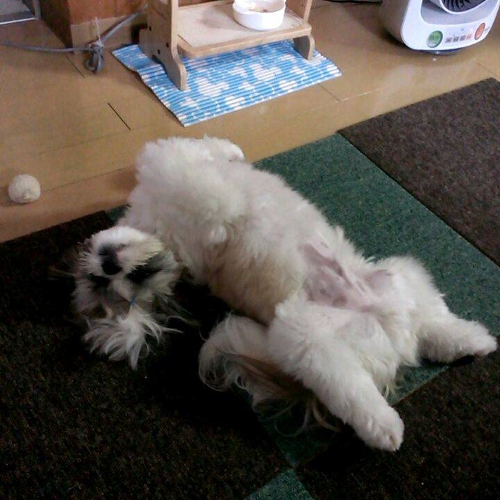 3f364c4f 9acd 4bc6 a938 d008f7e5347d