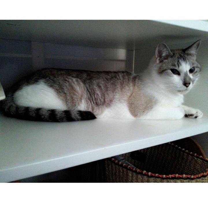 3f368329 1738 4a27 967e 39012f6f2002