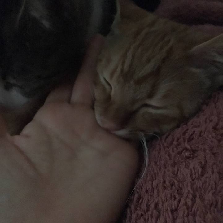 3f36b140 a54a 499a 8b2a 165472c2212e