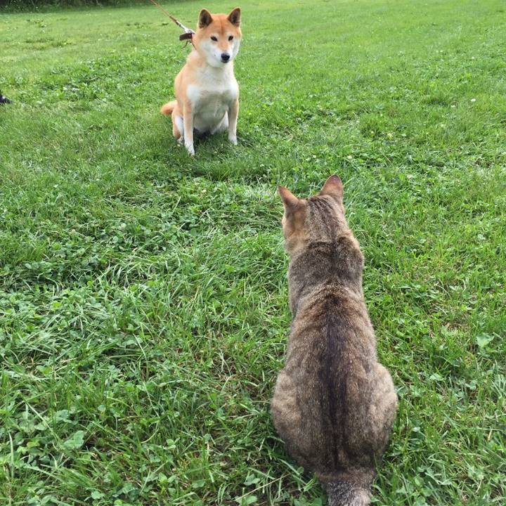 3f36b5f9 d591 40dd 904f 892cbec705d8