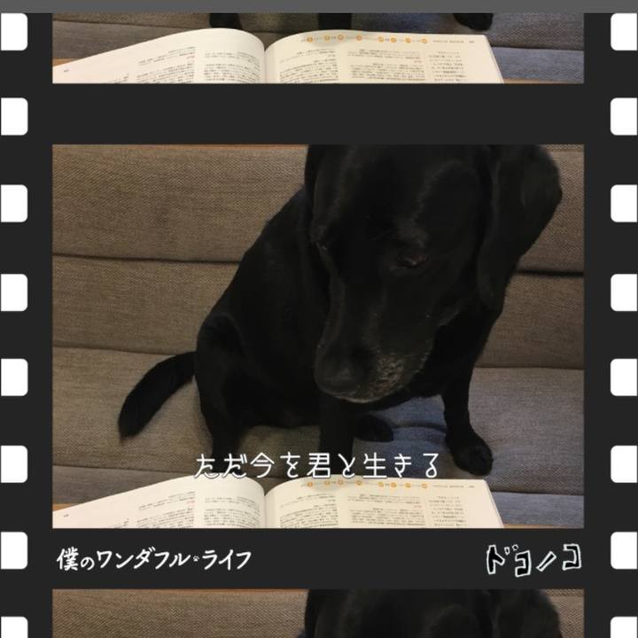 3f37828a 5f75 4886 a4eb c27c9cdd34a7