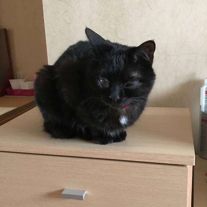 3f379ff0 2908 4805 b288 3f1d3a7dd0c1