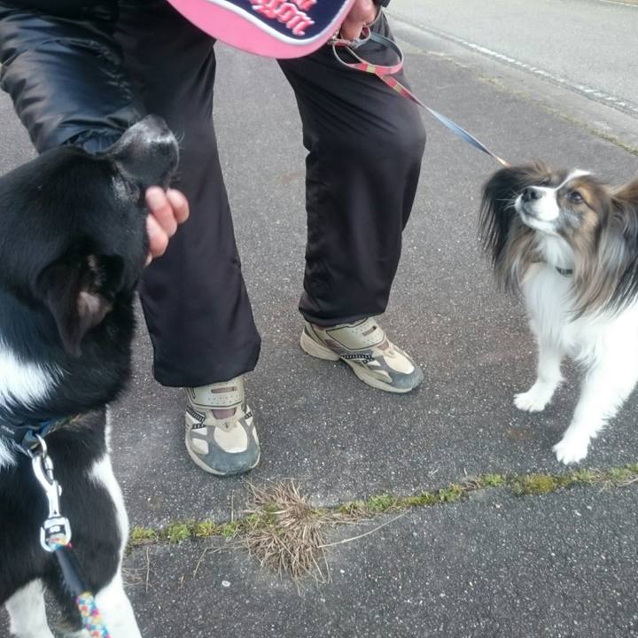 3f37e4cd af5e 4ecc 8e05 28e721c3ecb4