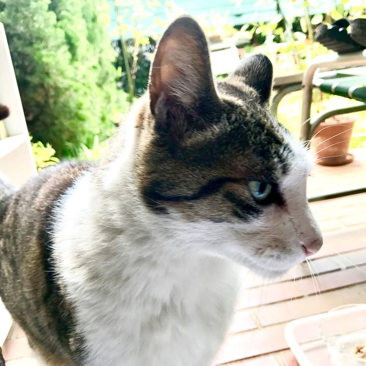 3f387c5a cd5b 45f2 95fa f17d64788cf5