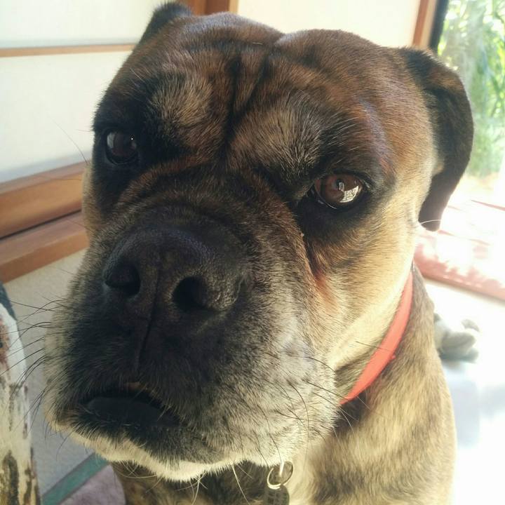 3f39e840 e83d 4afb 8c25 766c4f9b7ac2