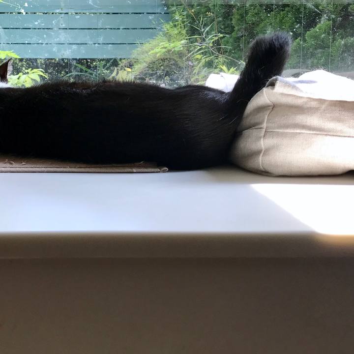 3f39eab0 8c76 42c5 82ad 757862ee0bce