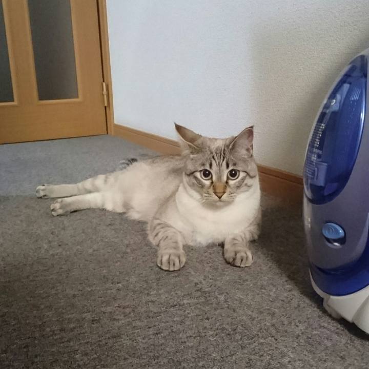 3f3a41e4 a048 45b2 9449 86f9f4c983f6