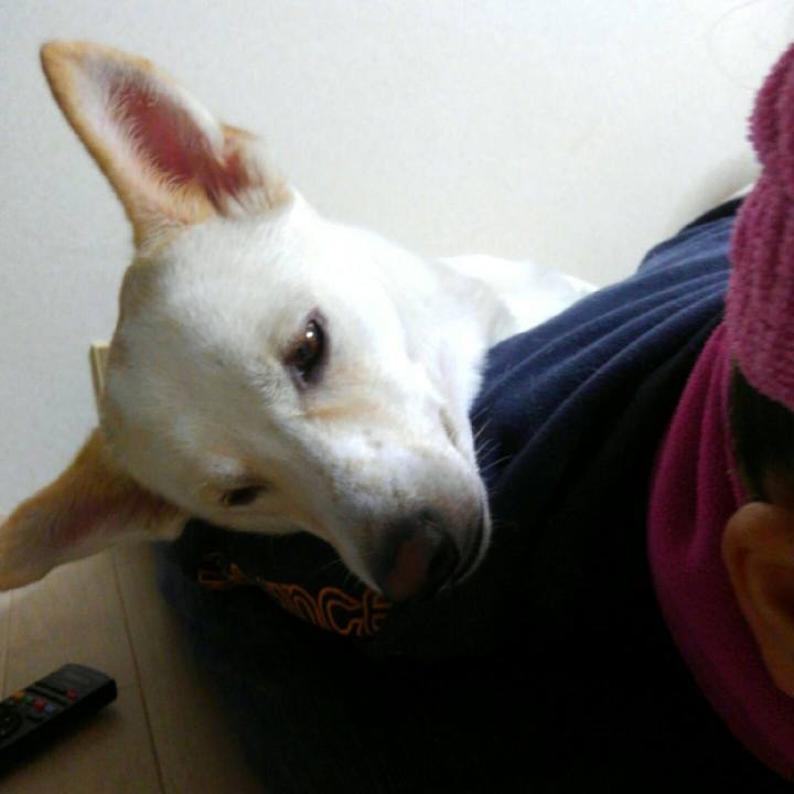 3f3a5bf8 5a85 4abf 9307 56ead71f360e