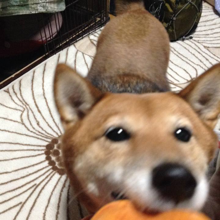 3f3bcd90 92b8 47ad 91e1 831a4864a64a