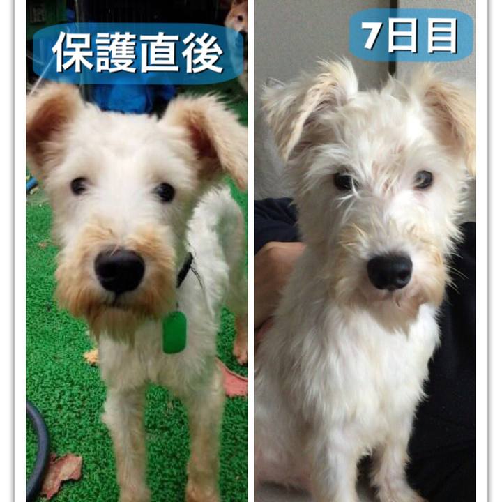 3f3be303 0bd4 4dbe 9f4f bf9e09fccd28