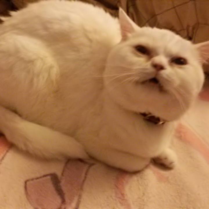 3f3cab99 aa6c 459e a287 e39922da44a3