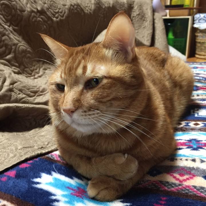 3f3cafaf bc82 4f34 95c1 6c0628af3bd1