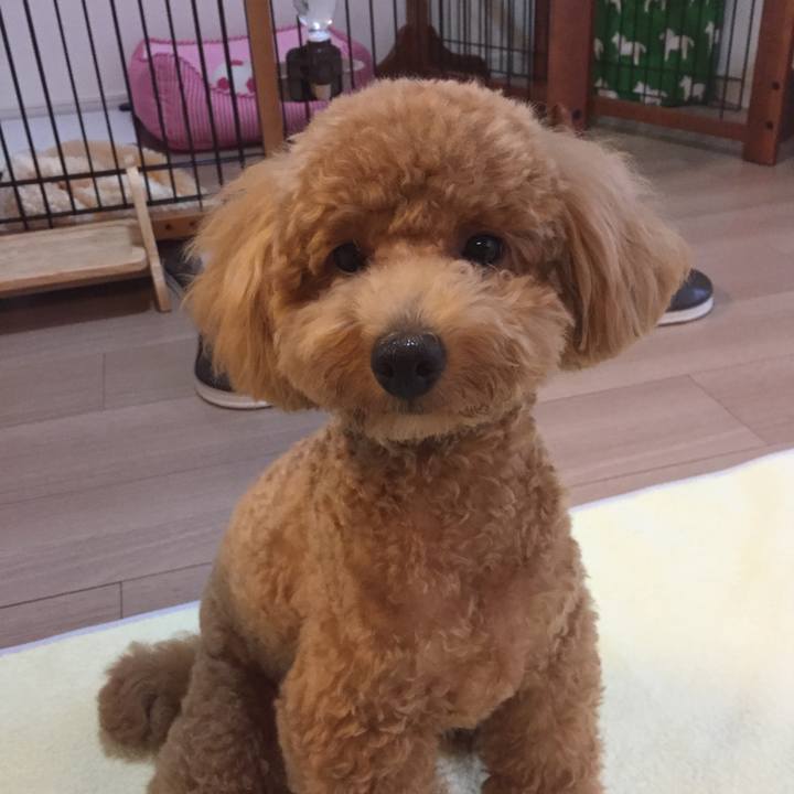 3f3cf59f b966 4aea be7e 771a65cd3ffc