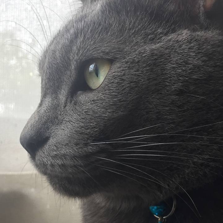 3f3d397f c53c 44c2 8055 47ebcb9d4431