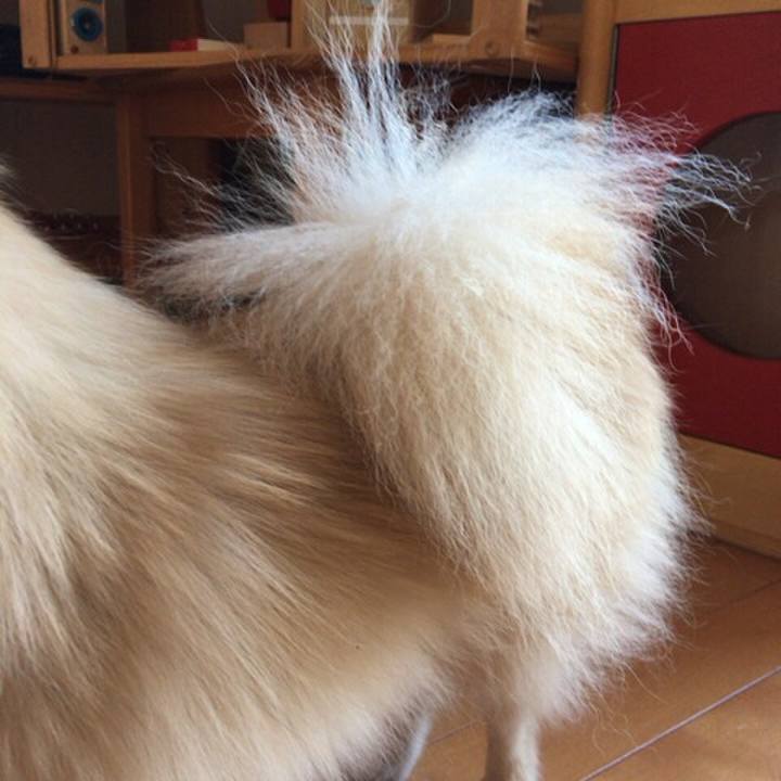 3f3dbbae c856 48c9 8440 978850c38537