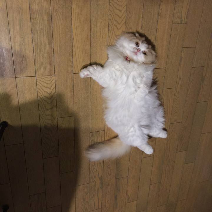 3f3e6ea9 9bcf 49bf 99f2 f27b63b61279