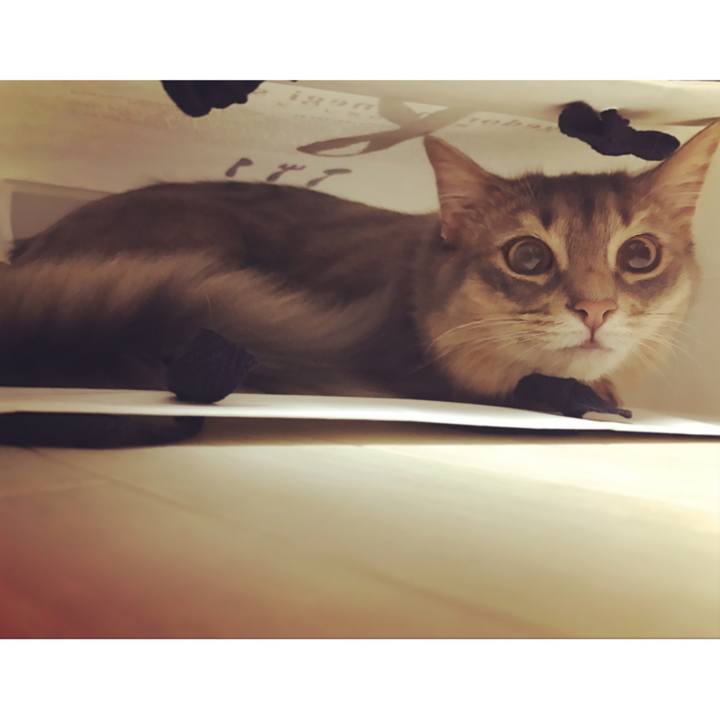 3f3ec9d7 166b 4aba 8223 39b136eea701