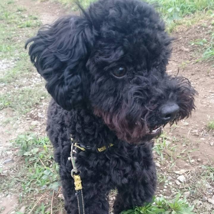 3f3f06bb 3d54 4354 a174 f00a7bb43a02