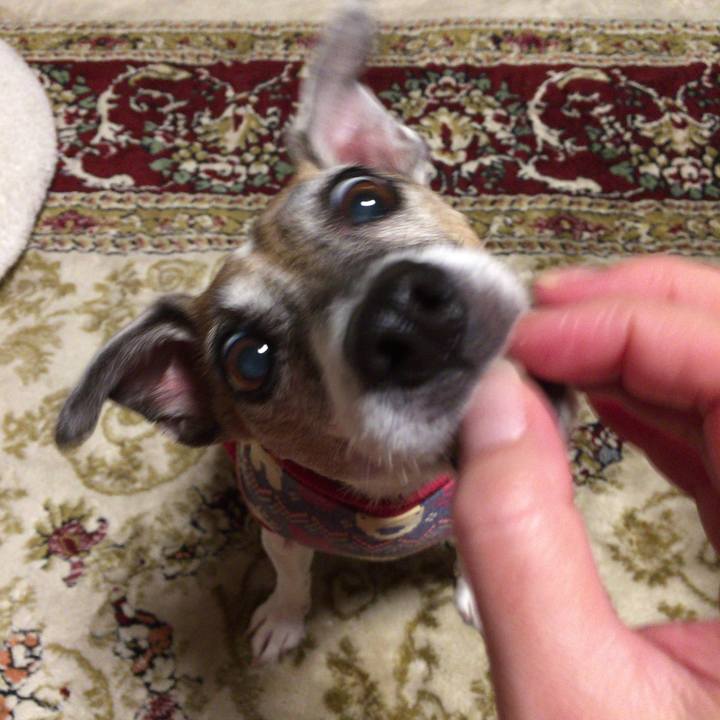 3f3f7504 aac2 48dc 8a2a bd3129afe2cb