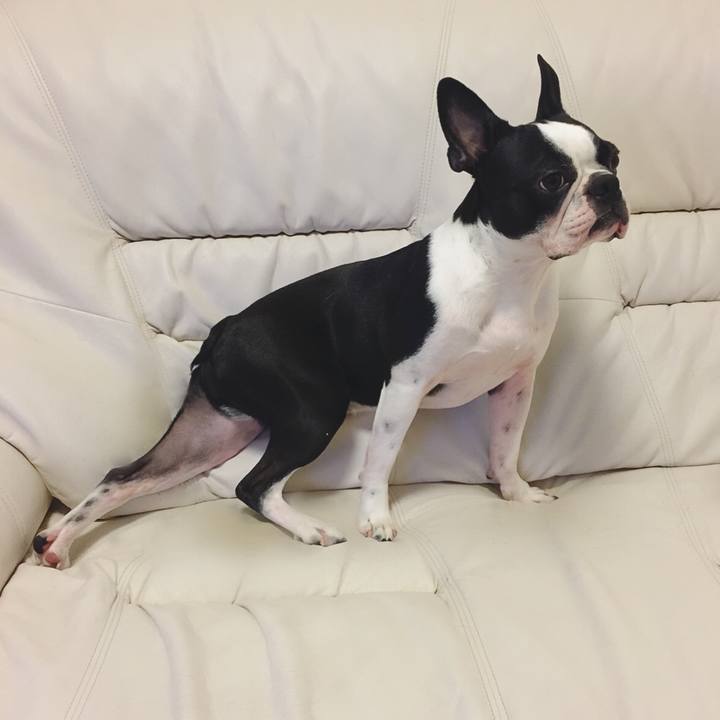 3f4091cf 5dc4 4fc2 8d07 85a7cbe027aa