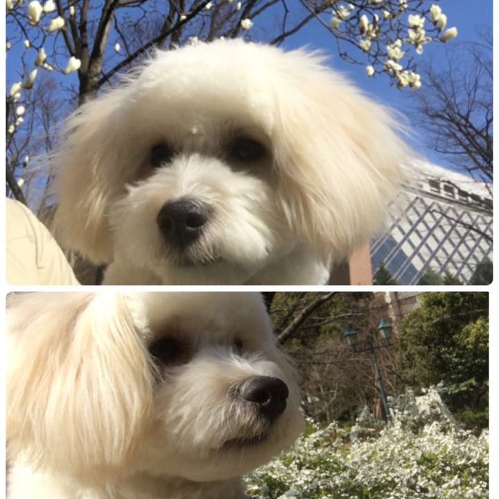 3f41ace4 ccdb 47bb 80ac 3351106d711d