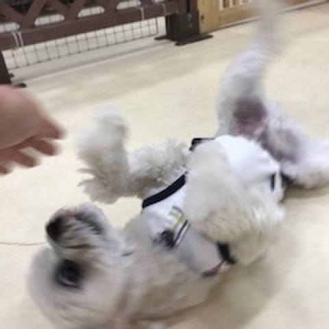 3f41c413 fcc4 448e a20d 93a9591c0b01