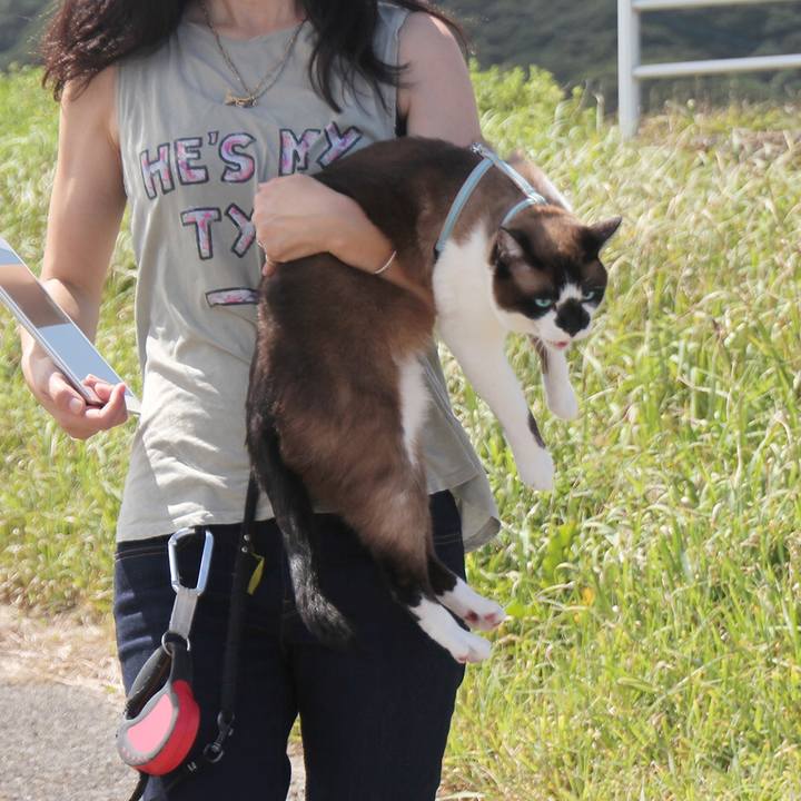 3f423c49 357f 42ed be28 4ac85cd39cd5