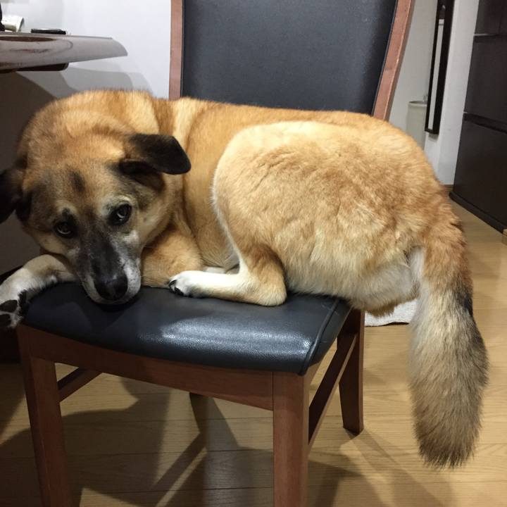 3f42842e d37d 457b b2f5 0ce044c8ddae