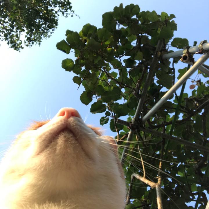 3f42a8b8 e90e 4ecd a09e 124edb6f0ad7