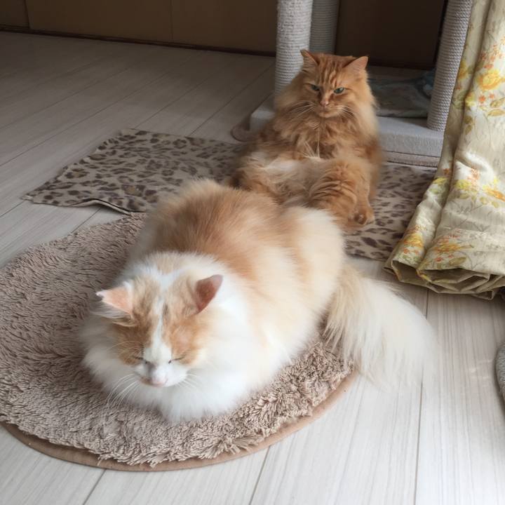 3f4335a8 cb75 43f6 9ee8 d95ab1200a25