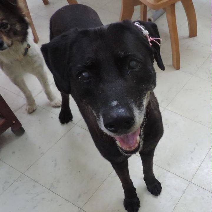 3f433f36 82ae 4858 8032 80d806c95d5b