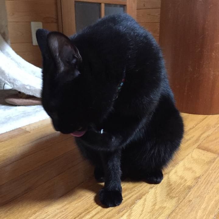 3f434373 1d07 44a0 a031 582873839128