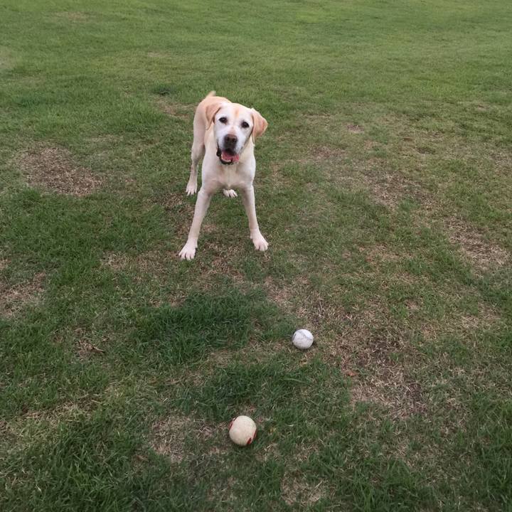 3f43fef4 e849 42db 9700 9dcae3804cf8