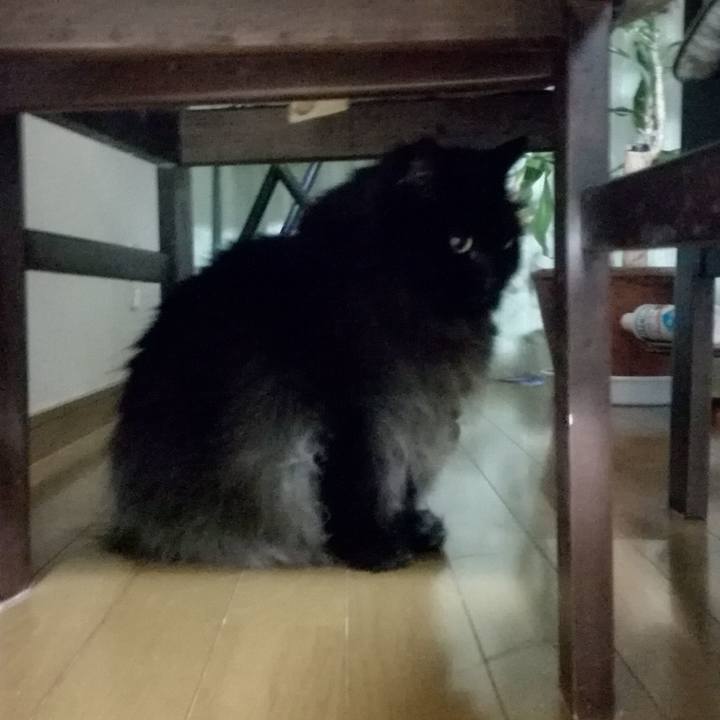 3f4409bd 0280 4b52 9c5d e8e497dcfde3