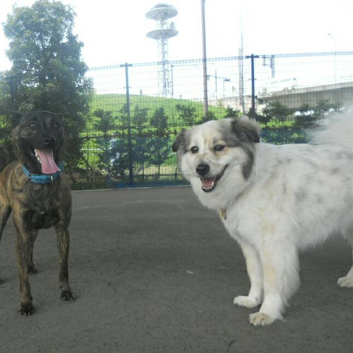 3f44f498 e51b 4724 a447 24ced58ca982