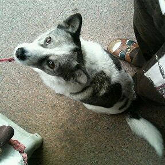 3f452021 f6dd 4b4d bb30 0d6ece02fff8