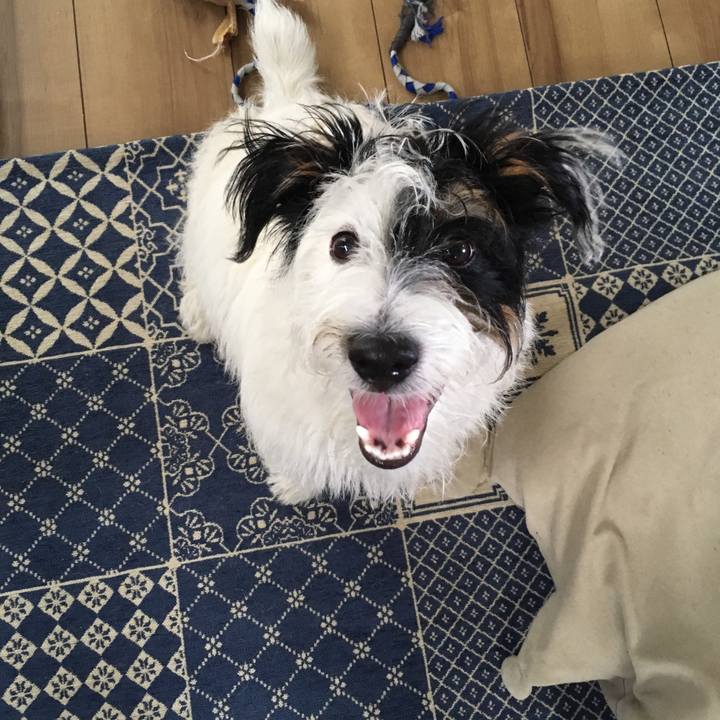 3f45628c 298e 4ac1 a21b 77738b613c7e