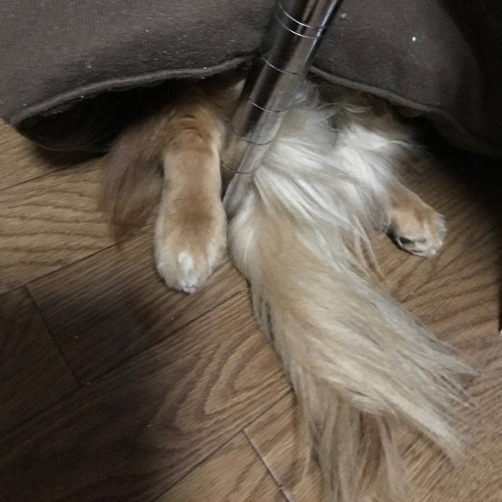 3f45be58 73f5 4b16 b46f 1919ffabbd2d