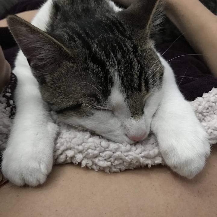 3f45dba5 1192 4c53 bc98 f3079e1c0291