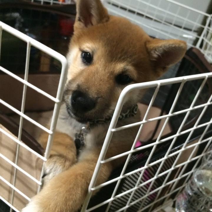 3f462b4a 5d4f 46da a76f 10b13a192d48