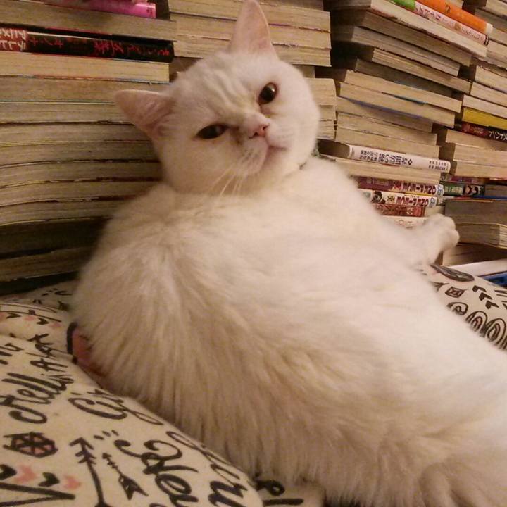 3f46c866 7166 4bde afc1 35aff8a5c123