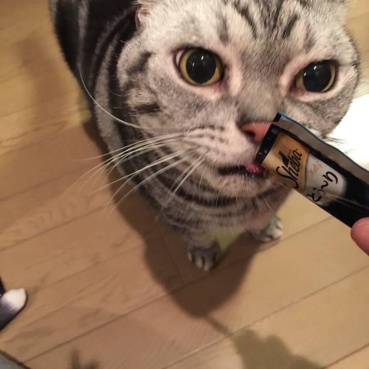 3f474d2b 4280 47b1 bf19 d2e306e12c7e