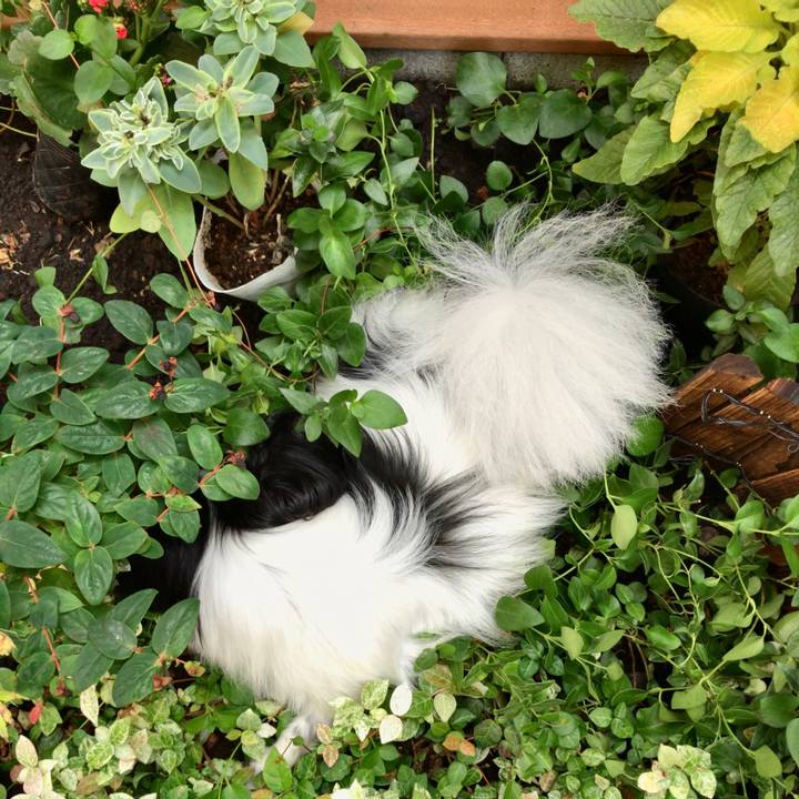 3f475b9b 0bc9 4c62 a674 ff9cbe2064dc