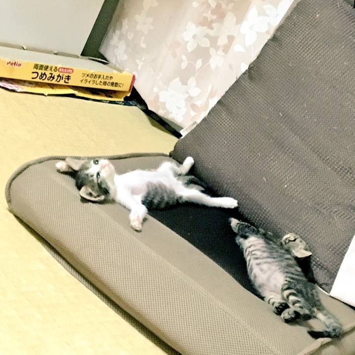 3f478ede 840c 4d7b 81c3 f874fdc7997b