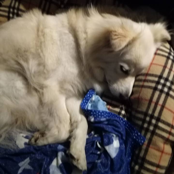 3f48306f 1608 4ccf a5b6 f9f8667e47f8