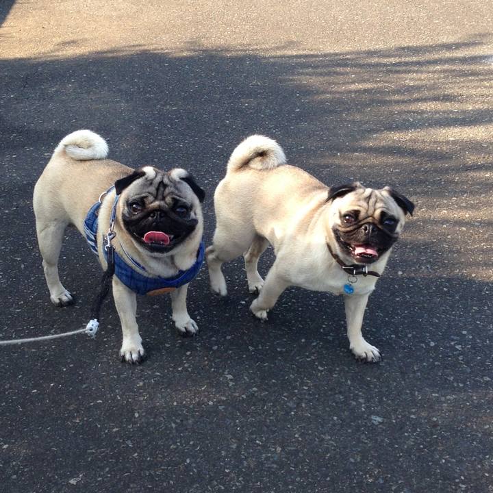 3f499bb1 6ecf 40a1 a4c2 0891d5350452