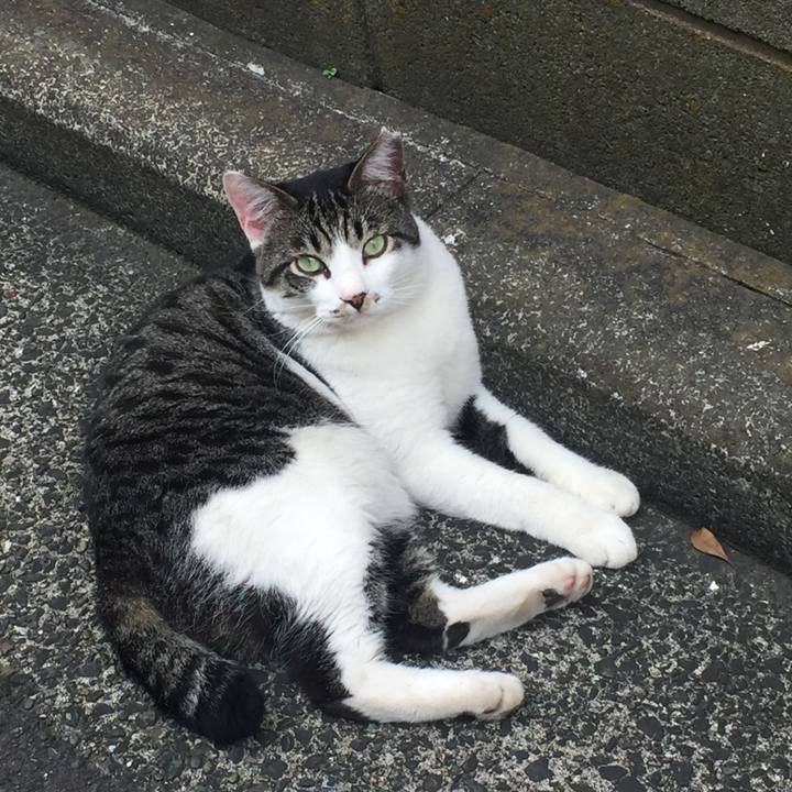 3f499e2d da2c 4496 9642 3df3ce6f9031